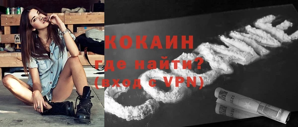 ешки Пересвет