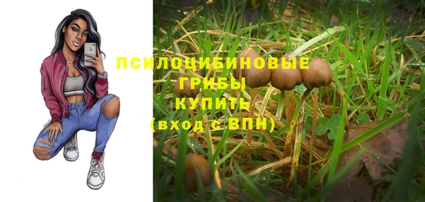 круглые Алексеевка